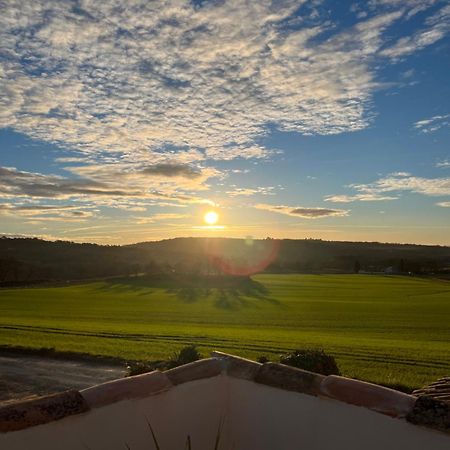 Mas Des Magnarelles / Uzes / Cevennes Villa Mejannes-les-Ales Dış mekan fotoğraf